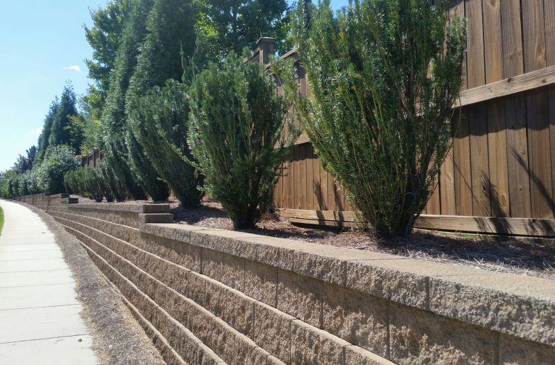 Landscape Wall Construction in Lakeland, FL